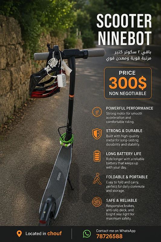 electric scooter