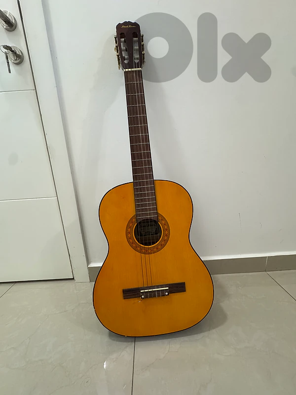 guitar