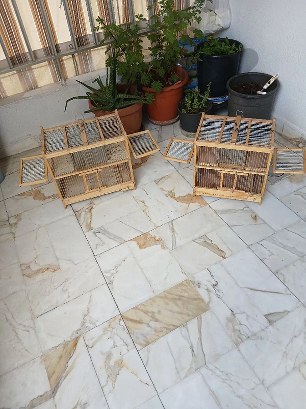 قفص مع ملاطش