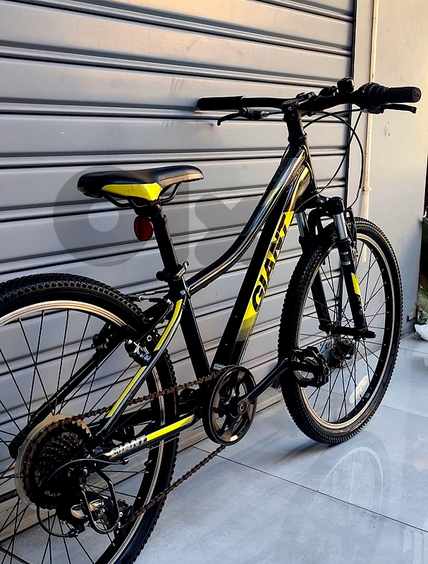 giant bicycle 24 🇺🇸