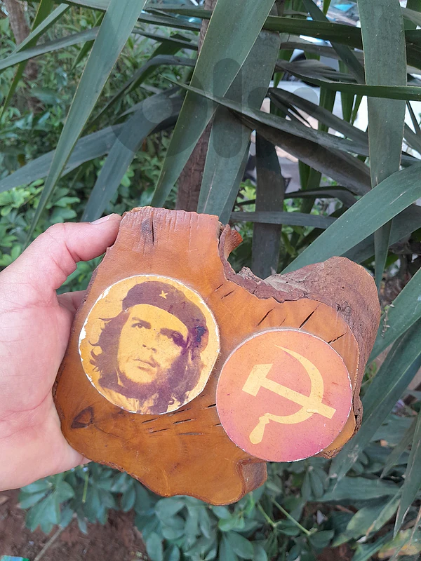 ernesto guevara .