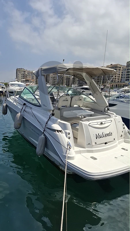 Monteray 290 cruiser