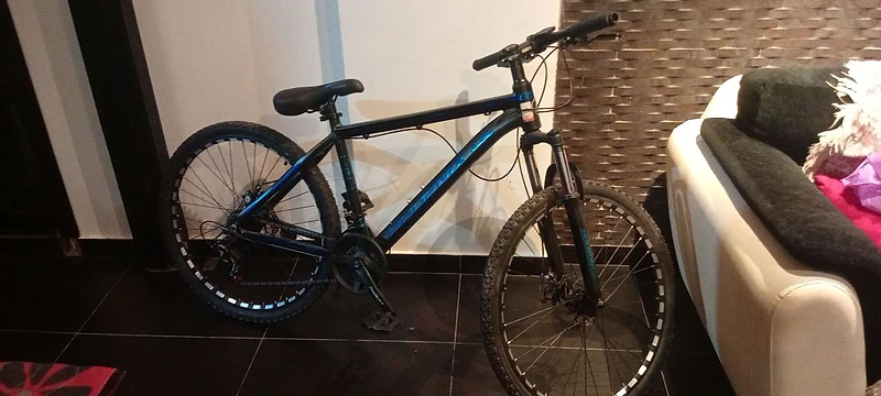 Phenix bike