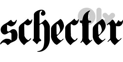 Looking for a Schecter electric guitar
