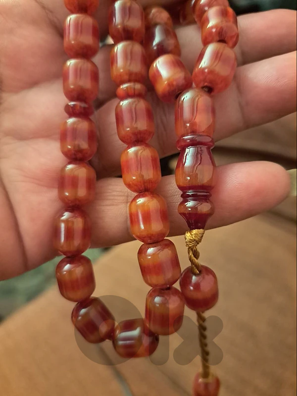 لبنان طرابلس لبنان طرابلس