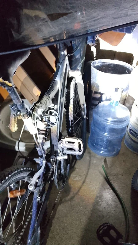 rexis japanese shimano