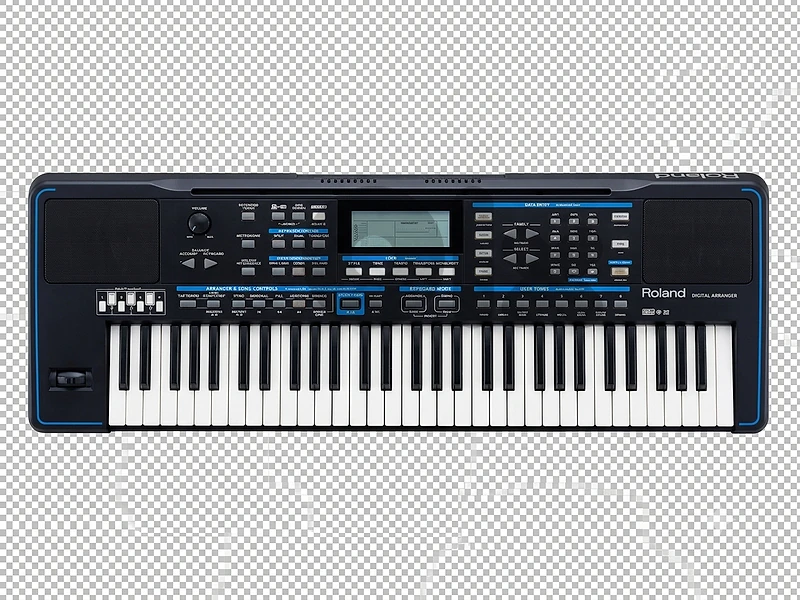 Roland EXR - 40 or