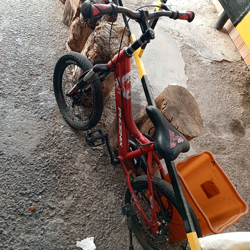 bicycle phoenix