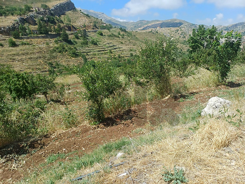 lands for sale in tannourine أرض للبيع في تنورين