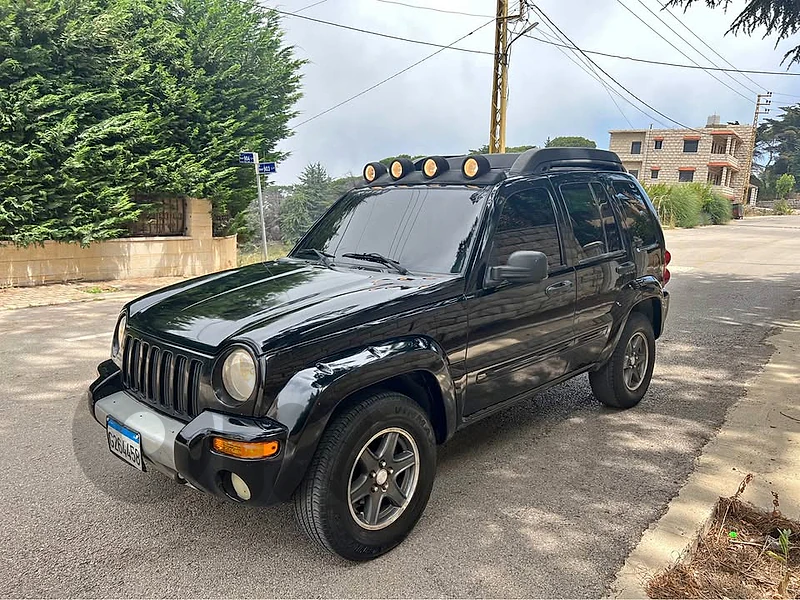 Liberty renegade 2003