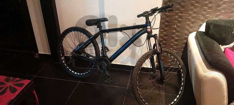 Phoenix bike