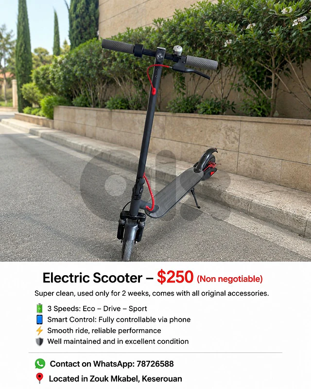 electric scooter