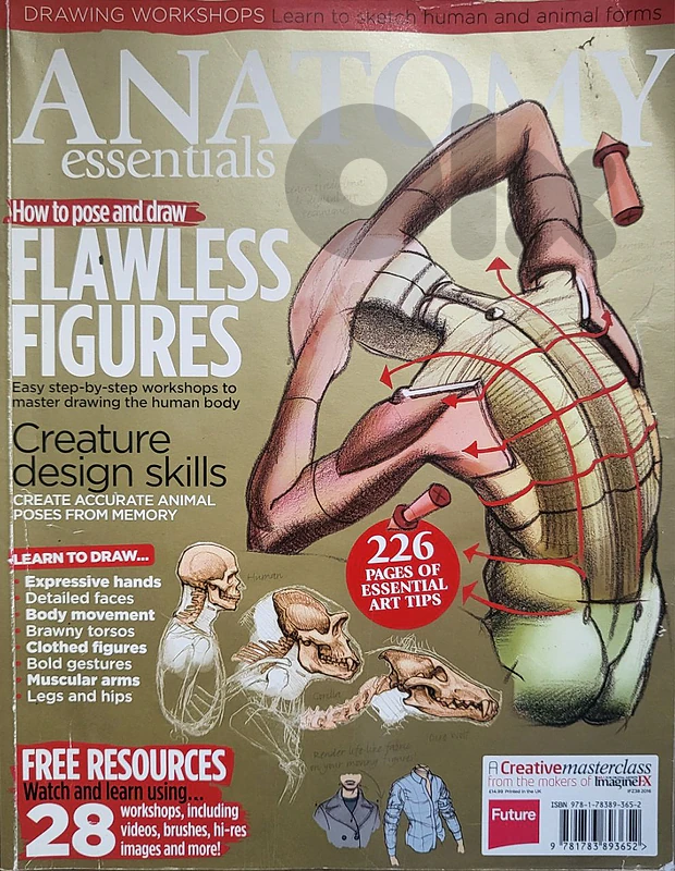 Anatomy Essentials Drawing Workshop