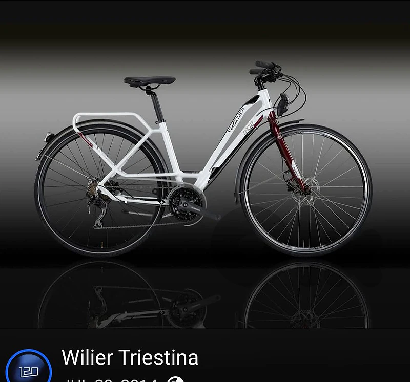 Willier Triestina Caorle - Urban Bike Italian
