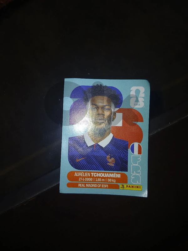 fifa panini card