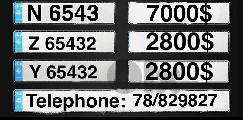 N 6543