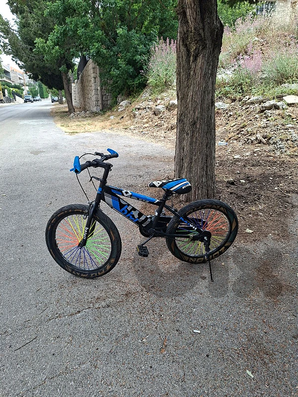 Used bicycle for sale