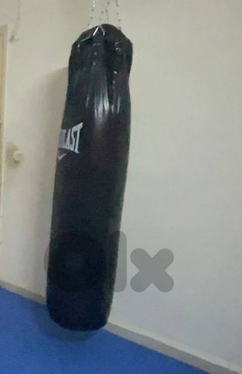 كيس بوكس Everlast 160cm