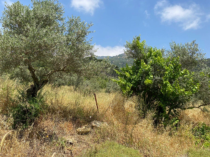 Land for Sale in Jeser El Kadi - Aley أرض للبيع في جسر القاضي - عاليه