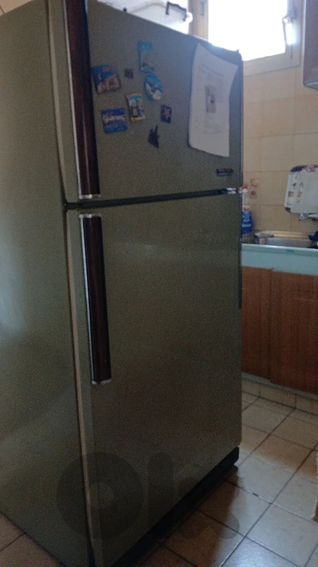 Frigidaire Brand 110V