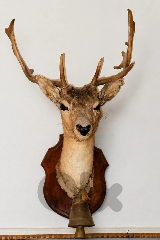 decorative deer head