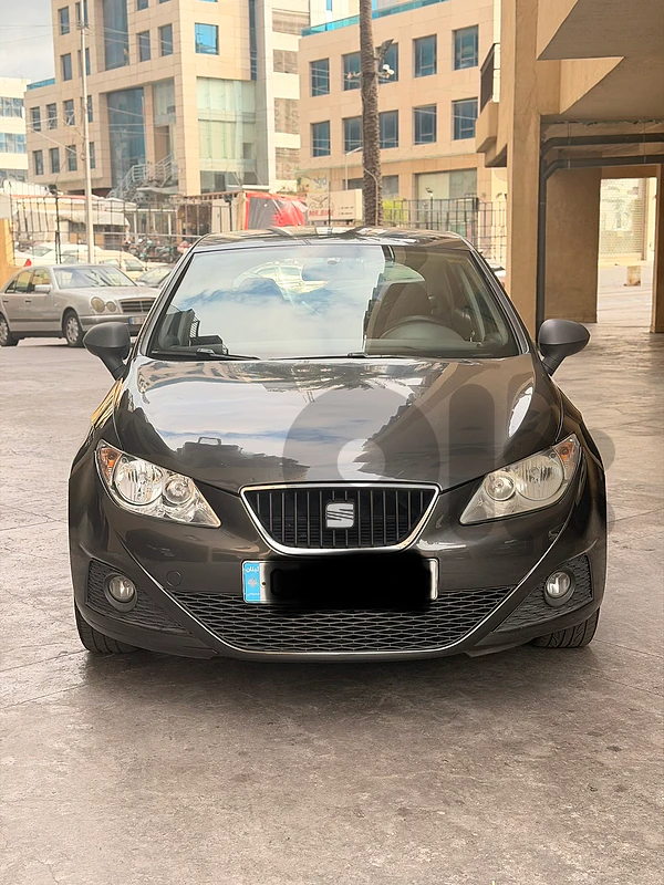 Seat Ibiza 2010 2010