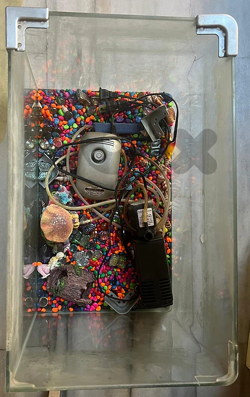 Aquarium with accessories for sale