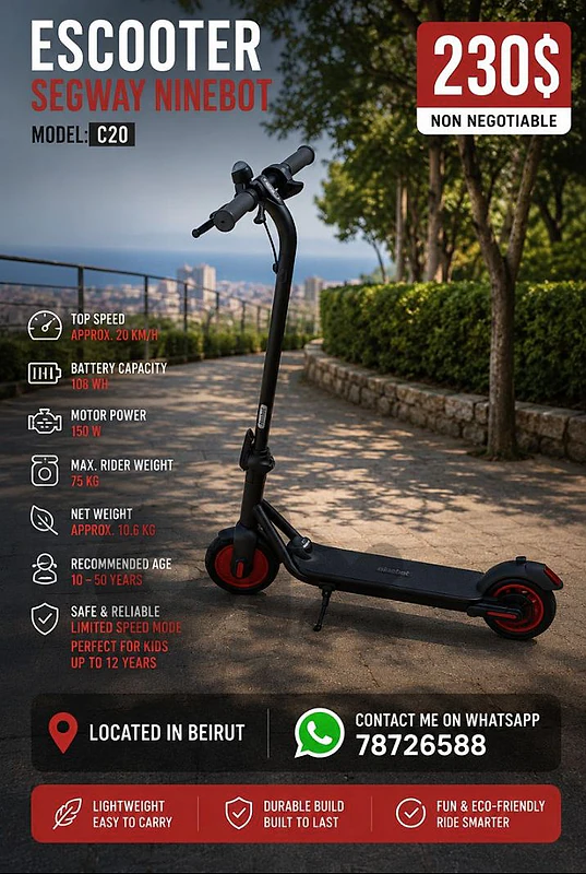 electric scooter