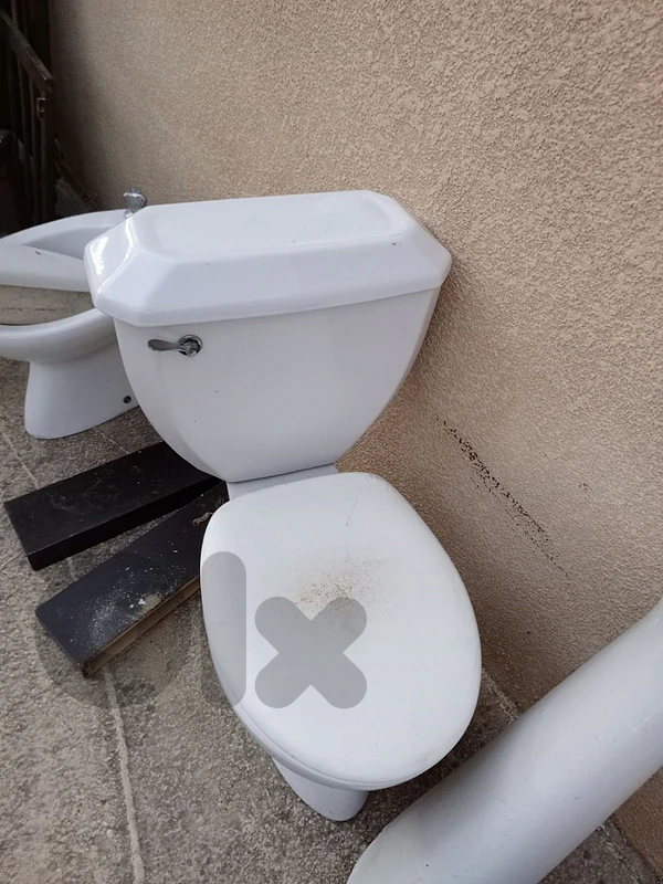 toilet seat