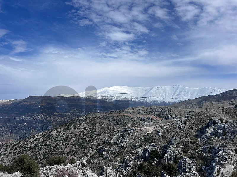 land for sale in zaarour
