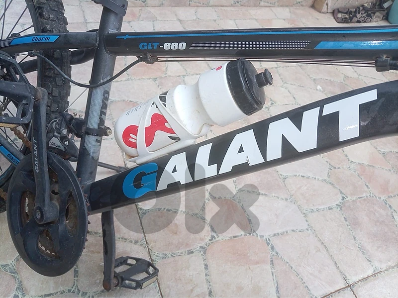 bicycle galant
