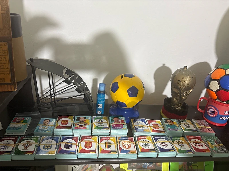 workd cup 2026 panini stickers