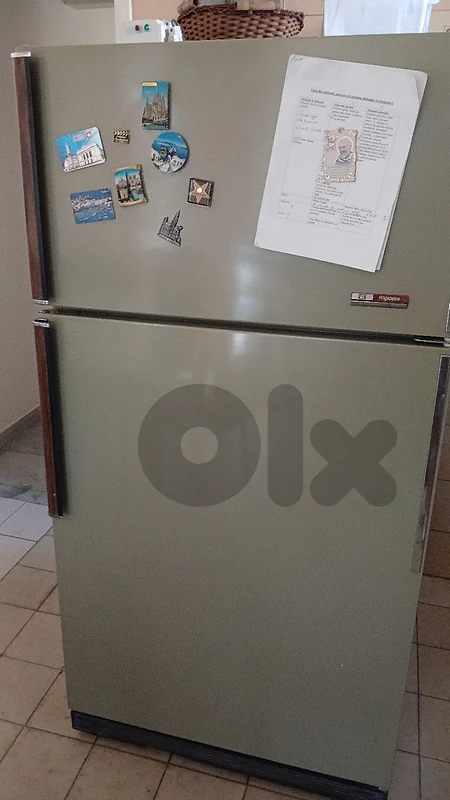 FRIGIDAIRE 110V