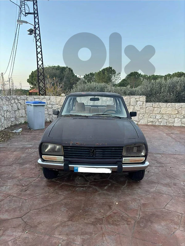 1979 Peugeot 504