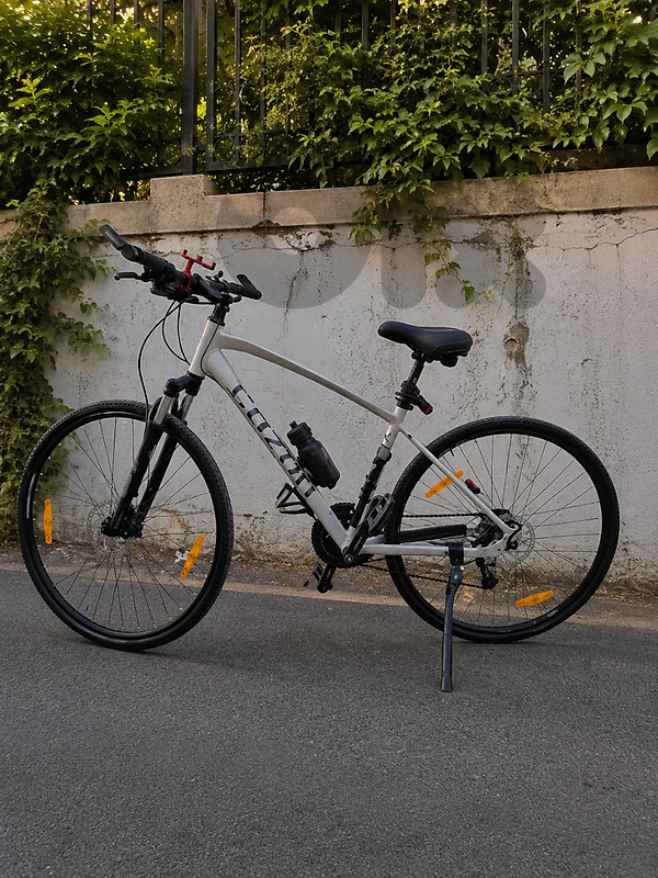 Bicycle