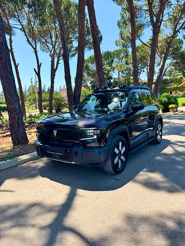 CHANGAN DEEPAL SUSPENTION G318 - 2024