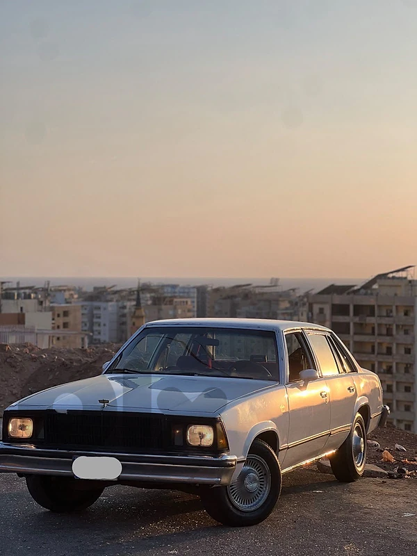 Chevrolet Malibu 1979