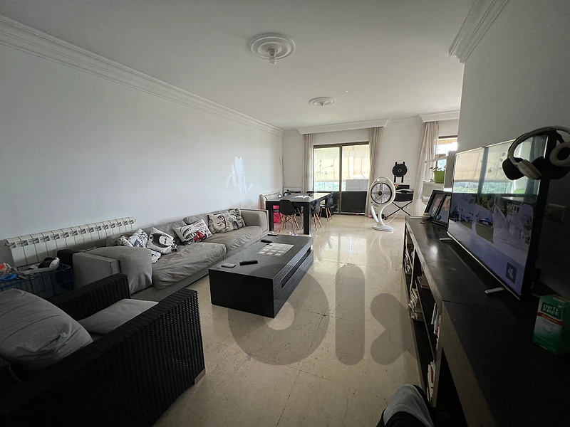 Apartment for Rent in Ain Saadeh / Ain Najm شقة للإيجار