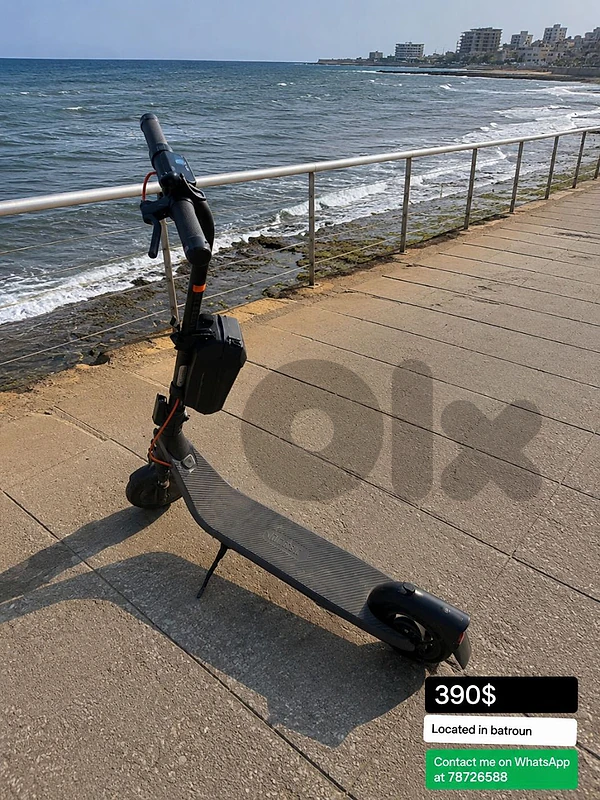 electric scooter