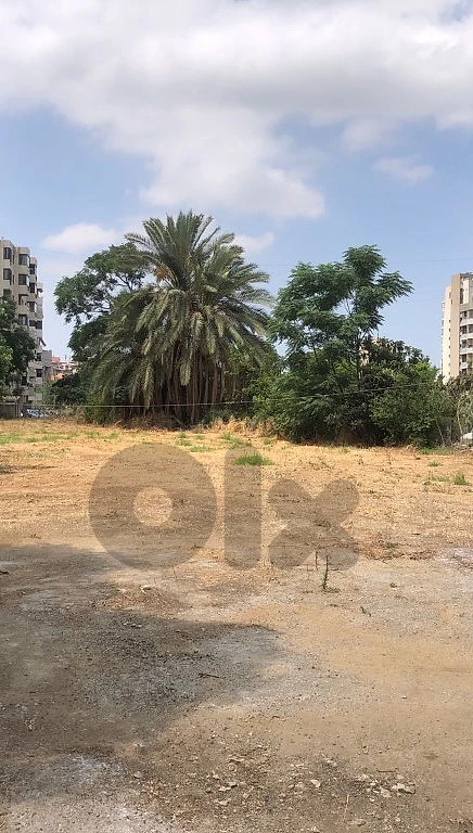 Land for rent in Zalka أرض للايجار في الزلقا