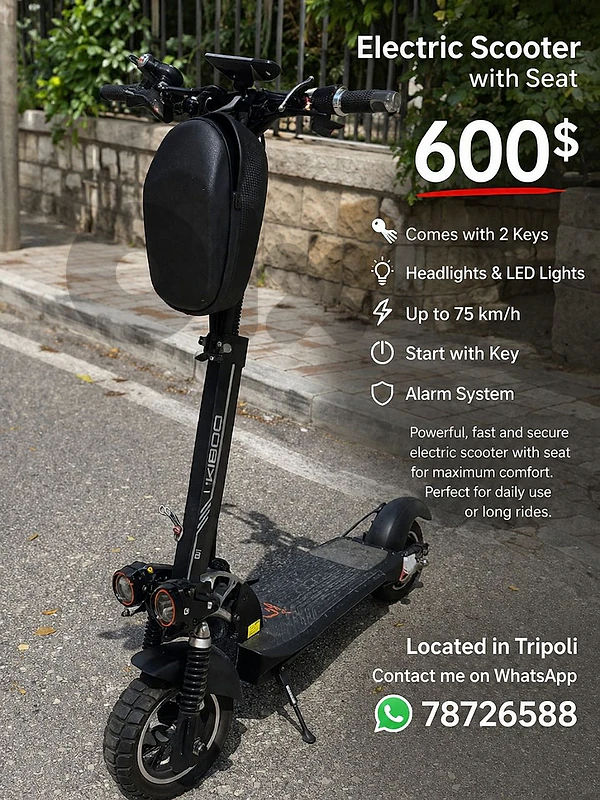 electric scooter