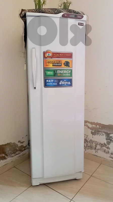 concord freezer, stove