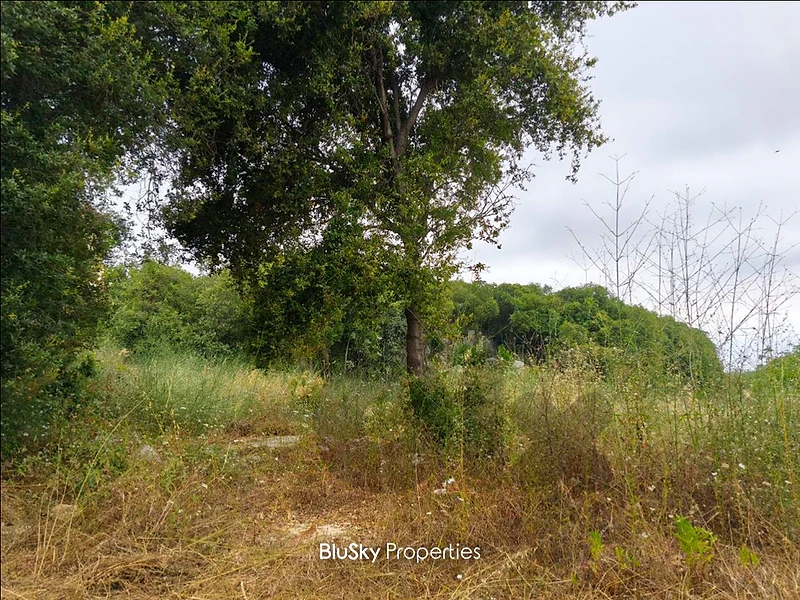 Land For SALE In Ghedres أرض للبيع #CA