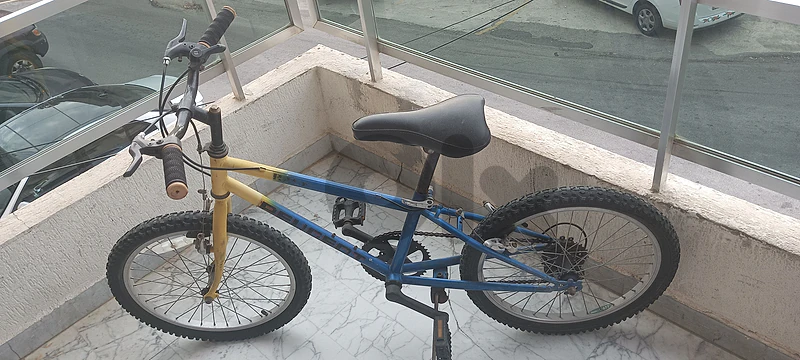 peugeot bicycle