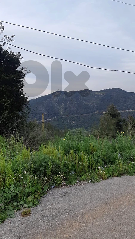 Land for sale in Debeyeh | ارض للبيع في الدبيّة Land for sale in Debeyeh | ارض للبيع في الدبيّة
