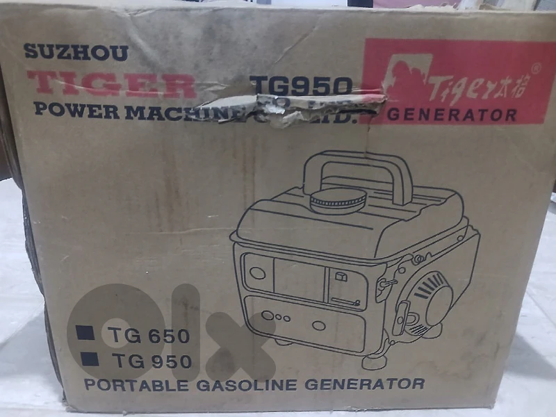 Electic generator