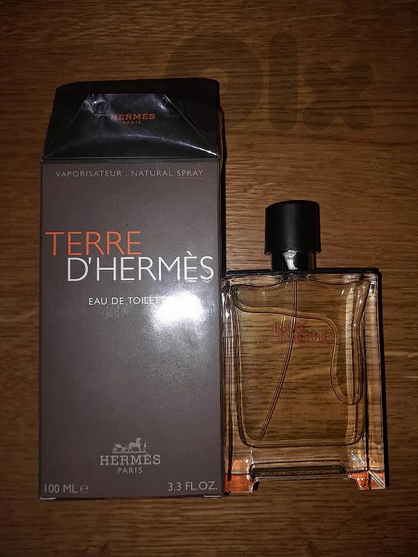 Terre d’Hermes EDT 100 mL