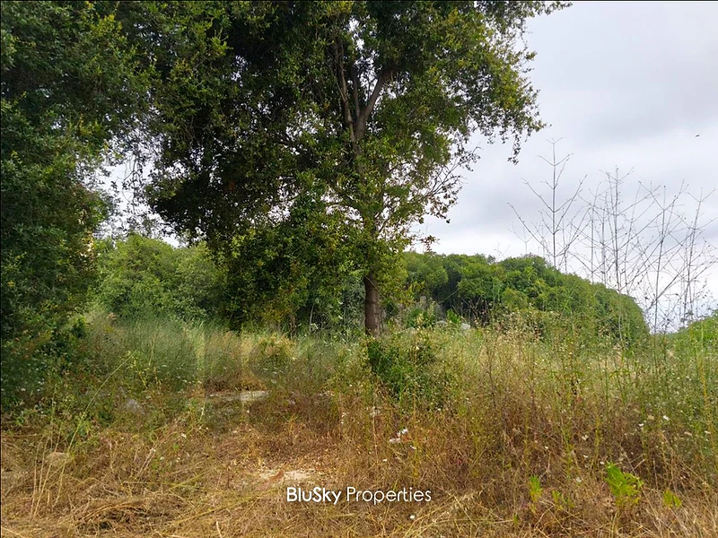 Land For SALE In Ghedres أرض للبيع #CA