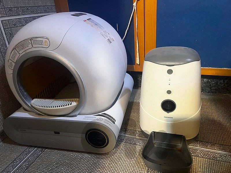 Cat automatic litter and feeder