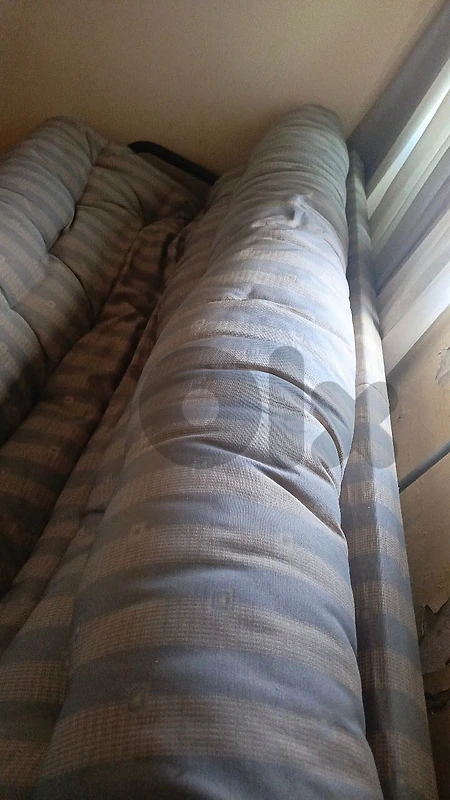 sofa bed